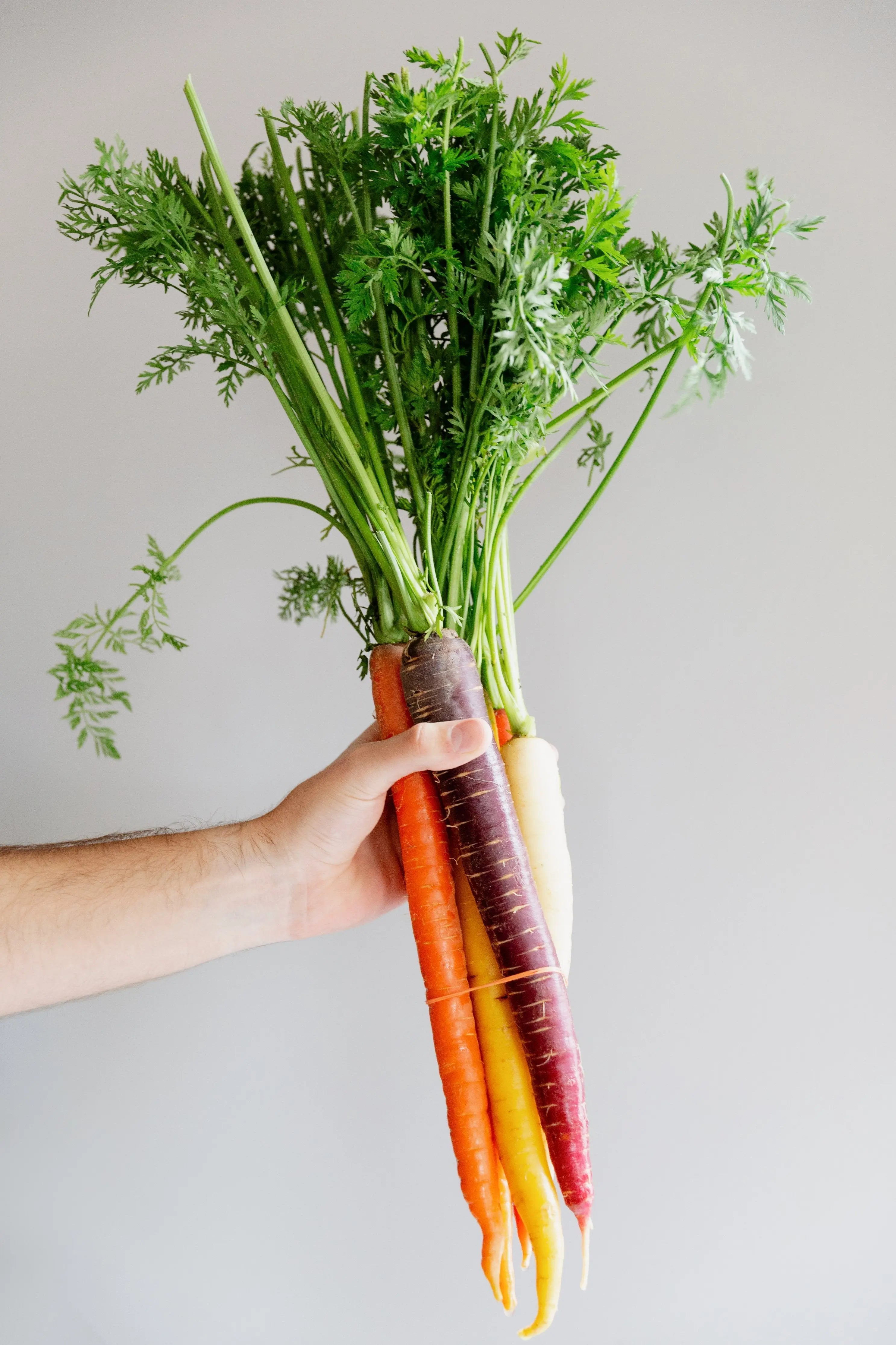 Vegan Toothpaste : Image of carrots