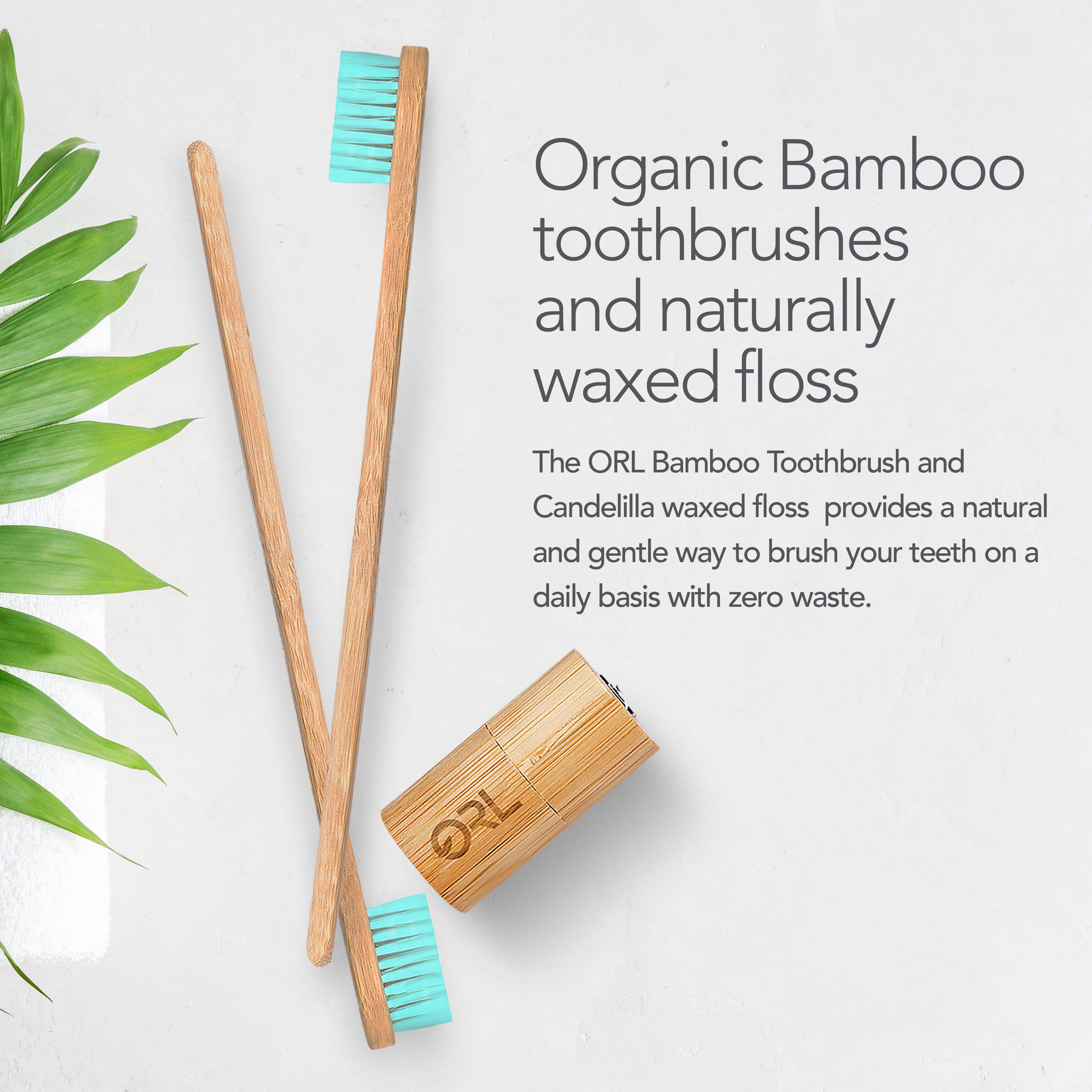 60-Day Natural Whitening Protection - Fresh Mint | Subscription Box