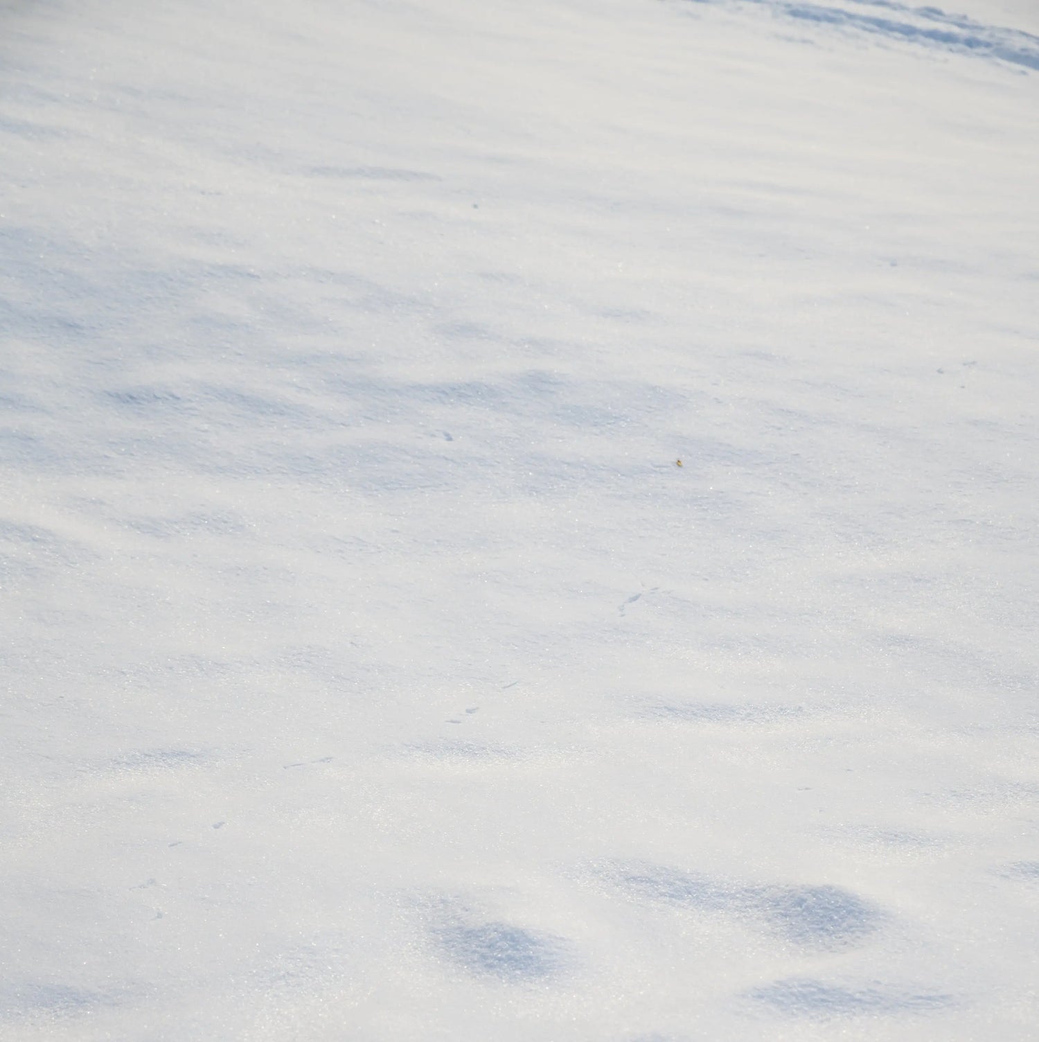 Twice the Enamel Support. Even Cleaner Ingredients. ORL