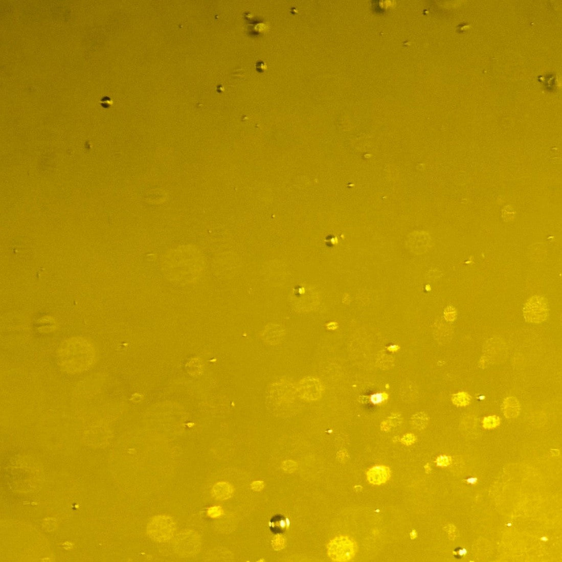 Is Oil Pulling Safe? Why This Trend Might Do More Harm Than Good